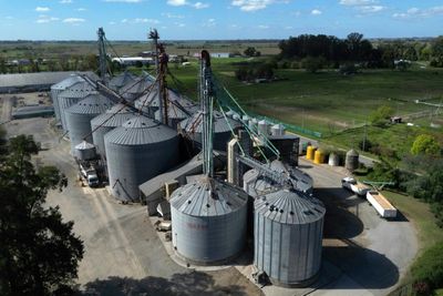 In Argentine Farm Town, Milei Mania Fizzles