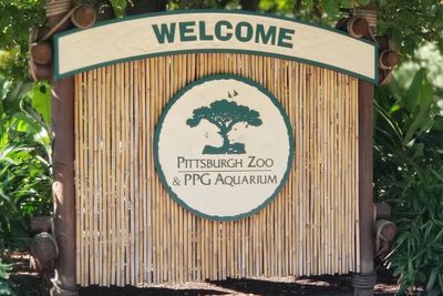 Influencer nearly became ‘elephant food’ after jumping into animal enclosure at Pittsburgh Zoo