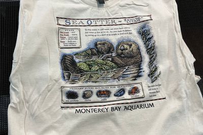 Taylor Swift's film Easter egg sparks a $2M windfall for sea otters