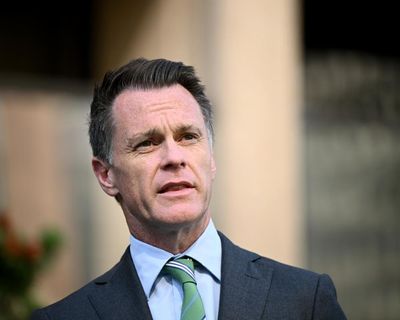 Morris Iemma’s lobbying firm does bumper business after Minns’ election as NSW begins planning overhaul