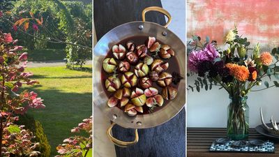 At Anna's Table: As Soon as You Have Procured a Fresh, Ripe Fig, Pop it into Your Mouth Immediately and Savor the Honeyed Sweetness – This, for me, is the Definition of Simple Luxury