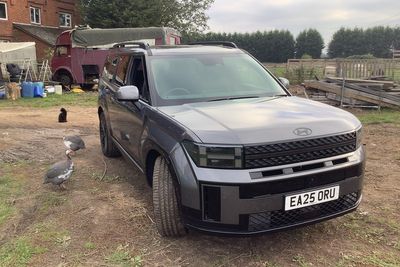 Hyundai Santa Fe: Pastures new