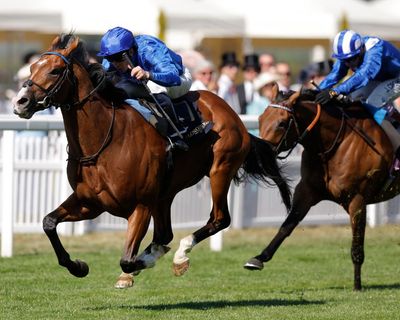 Champions Day horse racing at Ascot: shock winners at 200-1 and 100-1 – as it happened