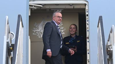 Albanese bound for critical talks with Donald Trump