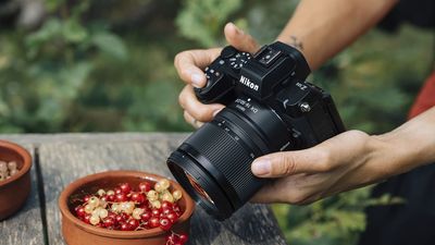 These sample photos prove why the Nikkor Z DX 16-50mm f/2.8 VR is the ‘pro-grade’ Nikon zoom I've been waiting for