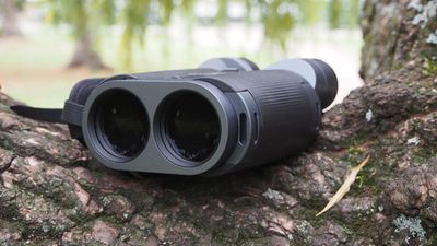 Fujifilm Fujinon Techno-Stabi TS-L 1640 binoculars review