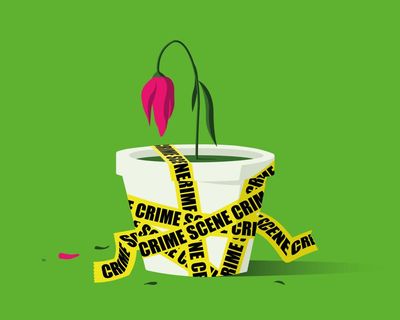 Should we treat environmental crime more like murder?