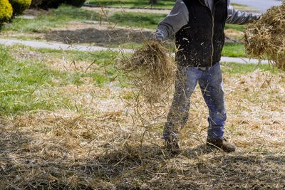Why Straw Mulch Protects Roots in Cold Weather