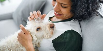 Do dogs behave differently during an owner’s pregnancy? Many dog owners think so