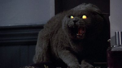 These Five Movies, Like Pet Sematary, Should Be Halloween Staples