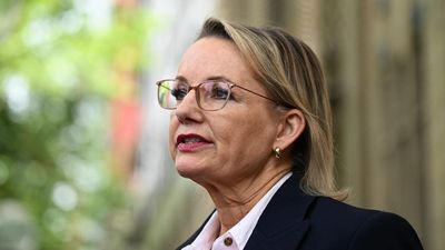 Ley reveals tax cuts, backflips on unpopular policies