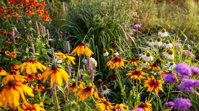 Landscape Designers Reveal 4 Key Ways They Prep Their Gardens In October – You Won't Want To Skip These Tasks