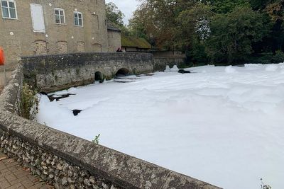 Environment Agency investigating after fish die in foam layer on river Thet