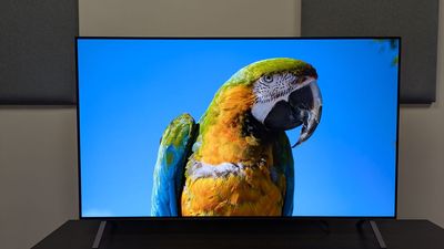 It's my job to test TVs, and these 3 models are the best value for money on the market