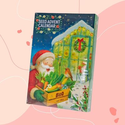 I just got my hands on B&Q's £15 seed advent calendar – it's packed with vegetable and flower seeds and a special surprise on the 25th