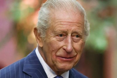 King joins Cate Blanchett for podcast about ‘wonderful’ Millennium Seed Bank