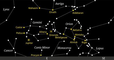 Starwatch: look east to catch the zippy Orionids meteor shower