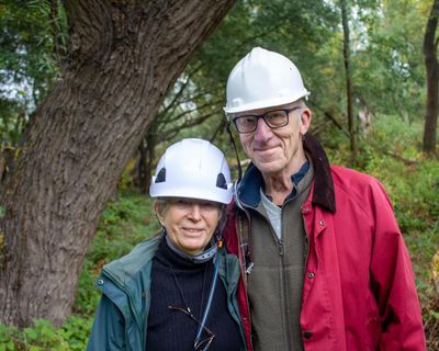 ‘It’s madness’: bat enthusiasts fear planning bill will derail years of conservation