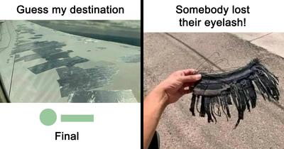 50 Funny Memes From ‘Sarcasm Daily’ That Might Help You Forget Your To-Do List (New Pics)