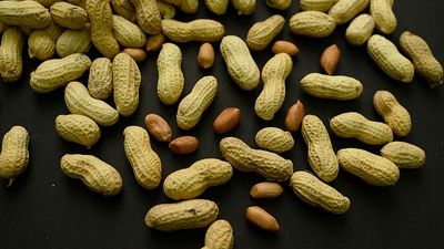 What age should you give your children peanuts? This guidance helped 60,000 kids avoid allergies