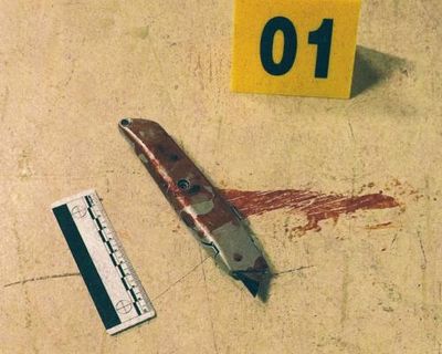 Strange Harvest review – lurid horror expertly disguised as true crime