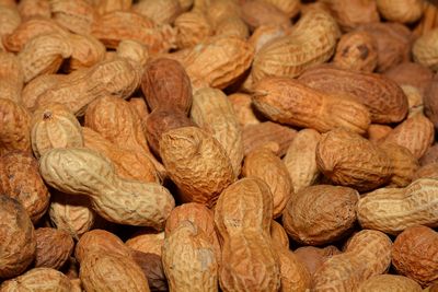 Fewer Children are Having Peanut Allergies in Recent Years Following a Change in Guidelines, Study Shows