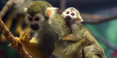 New study reveals how illegal wildlife trade intersects with organized crime in Canada