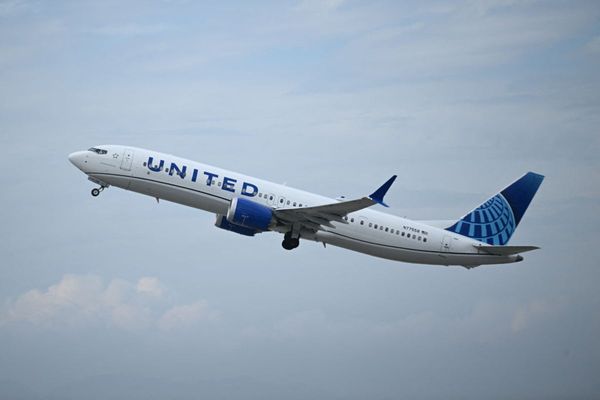 Plane struck by suspected space debris mid flight