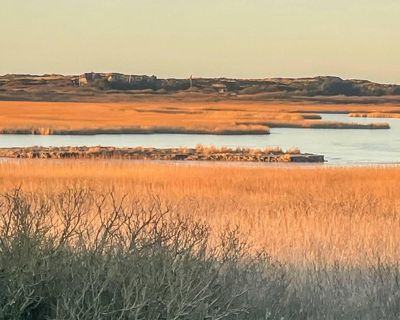 ‘A punch in the face’: Germany’s dash for gas raises questions over climate targets