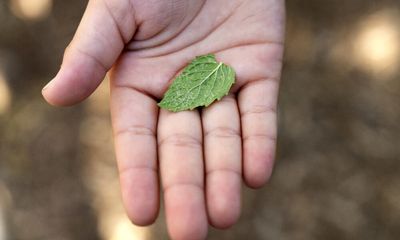 The Farm-to-School Model Is Under Threat