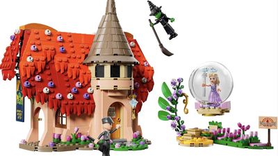I Wasn't Sure about Wicked's LEGO Friend Sets, But I Like Them More Than For Good's Traditional Options