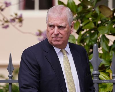 Prince Andrew tried to hire ‘internet trolls’ to hassle Virginia Giuffre, book claims