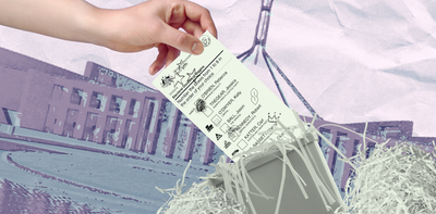 Why are young people more likely to cast informal votes? It’s not because they’re immature