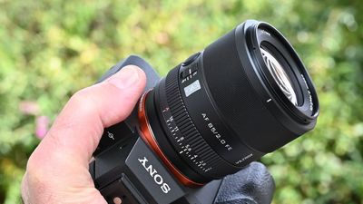 Viltrox AF 85mm f/2.0 Evo review: evolution of the species