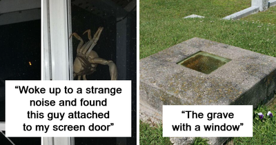 50 Unsettling Photos You Shouldn’t Look At Alone