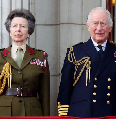 Royal Expert Says Princess Anne Is "Fed Up" With One Royal Family Member and Has "Long Sided With" Brother King Charles