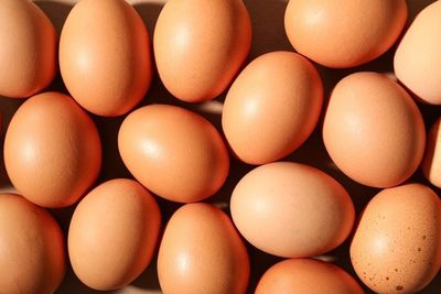 Justin Wolfers Says AI's Soaring Energy Demand Is Like Egg Shortage — But Predicts Market Will 'Hatch More Watts' As Prices Rise