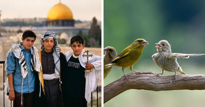 This Page Shares The Most Fascinating Photos, And Here Are The Newest 30