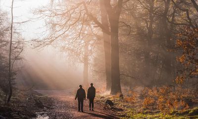 ‘The rich smell of leaves decomposing is wonderful’: three nature lovers on how to find autumn splendour in the woods