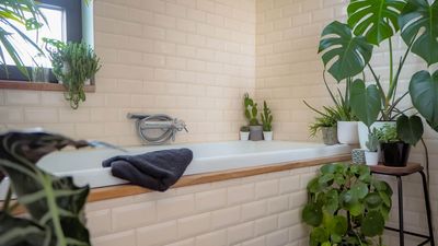 'The bathroom can actually provide the perfect conditions to keep an array of greenery happy and healthy' — experts share 3 varieties that will thrive