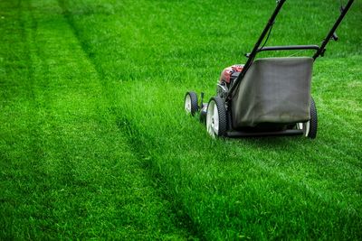 Why Your Lawn Shouldn’t Be Ignored This Season