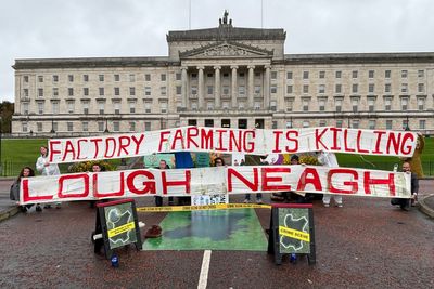 Stormont declared ‘crime scene’ over environmental crisis at Lough Neagh