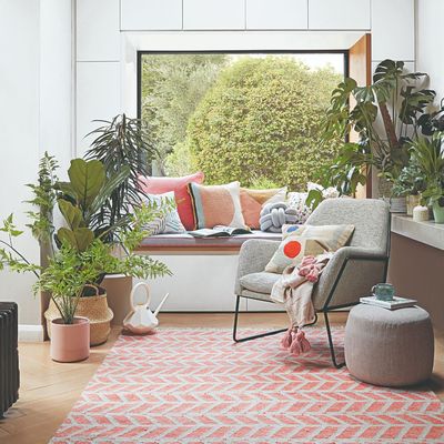 Your central heating could be responsible for killing your houseplants this winter – the signs to be aware of, plus how to fix it