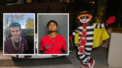 Real-life ‘Hamburglars’ break into freezer and steals 300 pounds of hamburger and sausage – the crime hits harder than expected