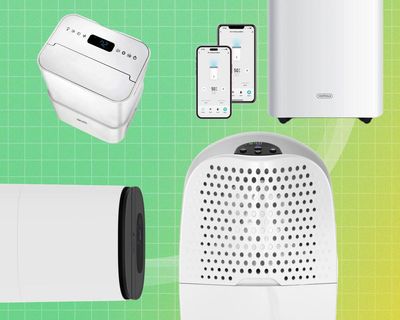 The best dehumidifiers: 14 favourites to beat damp and cut bills, tested