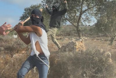 ‘Never seen something so extreme’: Palestinian woman nearly clubbed to death by Jewish settler