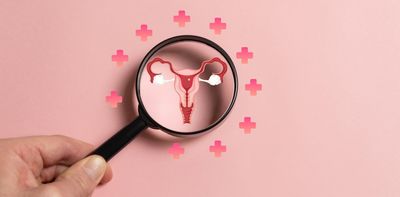 Fertility: the ovaries play a key role in reproductive decline, new research shows