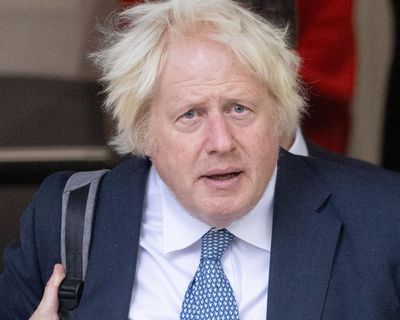Will no one think about poor Boris? Former PM smirks and sighs through Covid inquiry
