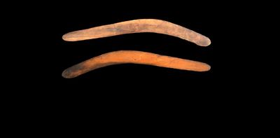 How forensic analysis and traditional knowledge reveal the story of a unique boomerang