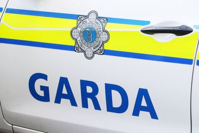 Trouble flares outside Dublin hotel used to house asylum seekers